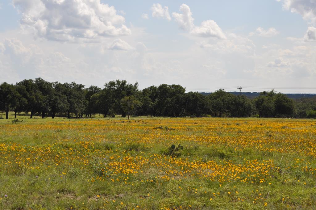 17987 Fm 479 Harper TX 78631