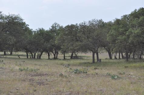17987 Fm 479 Harper TX 78631