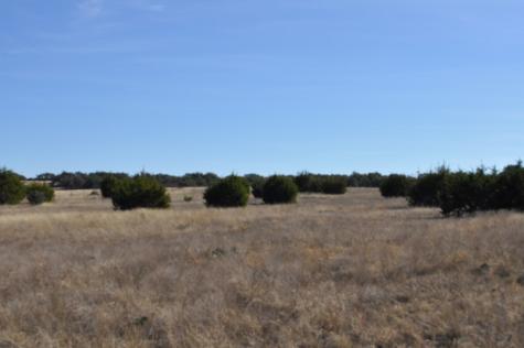 17987 Fm 479 Harper TX 78631