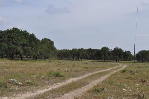 17987 Fm 479 Harper TX 78631