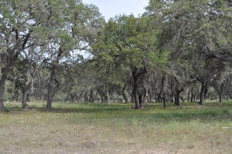 17987 Fm 479 Harper TX 78631