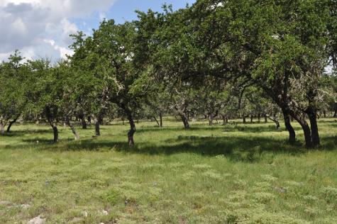 17987 Fm 479 Harper TX 78631