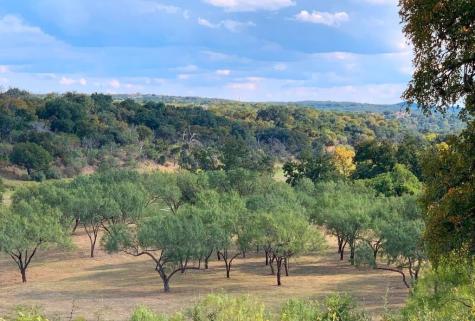 3220 Fall Creek Estates Drive Spicewood TX 78669