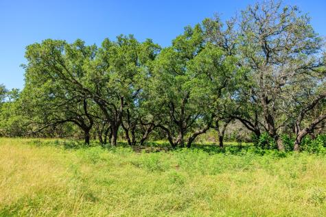 10940 W Us Highway 290 Johnson City TX 78635