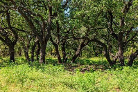 10940 W Us Highway 290 Johnson City TX 78635