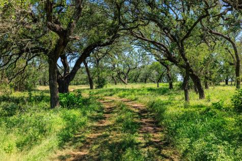 10940 W Us Highway 290 Johnson City TX 78635