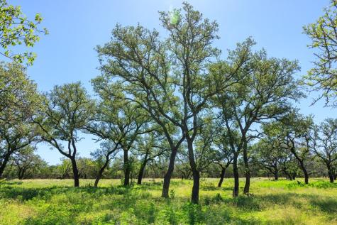 10940 W Us Highway 290 Johnson City TX 78635