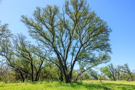 10940 W Us Highway 290 Johnson City TX 78635