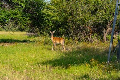 7484 County Road 409 Valley Springs TX 76885