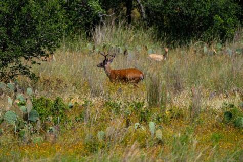 7484 County Road 409 Valley Springs TX 76885