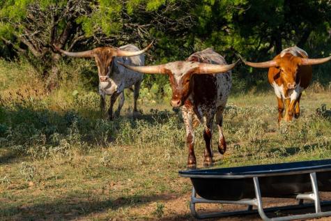 7484 County Road 409 Valley Springs TX 76885