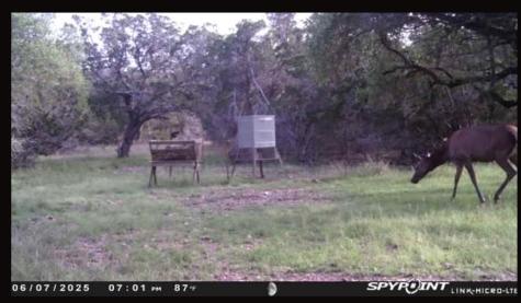 180 Bee Hive Road Hunt TX 78024