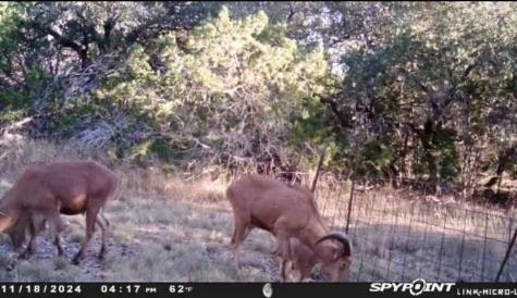 180 Bee Hive Road Hunt TX 78024
