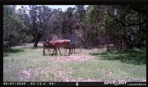 180 Bee Hive Road Hunt TX 78024