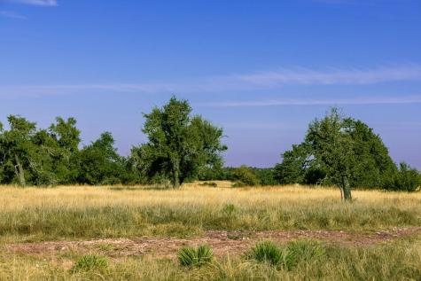 100 N Gretchen Grove Lane Fredericksburg TX 78624