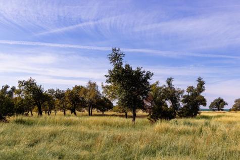 100 N Gretchen Grove Lane Fredericksburg TX 78624