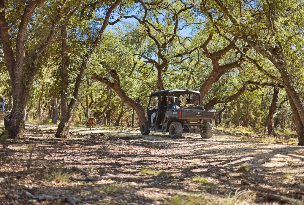 Dripping Springs TX 78620