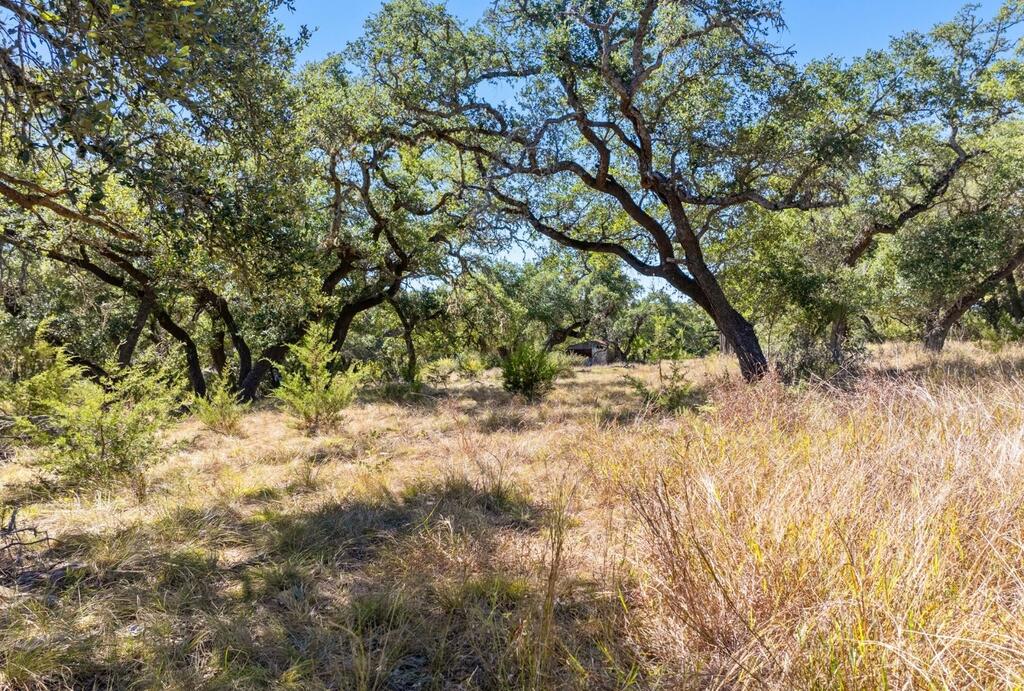 Dripping Springs TX 78620