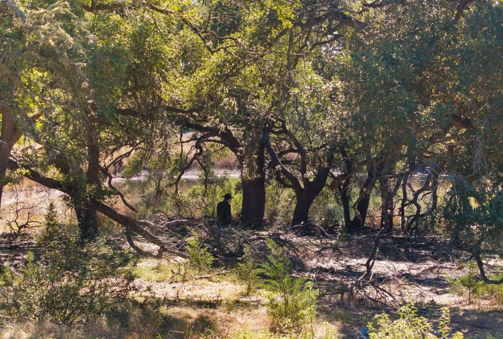 Dripping Springs TX 78620