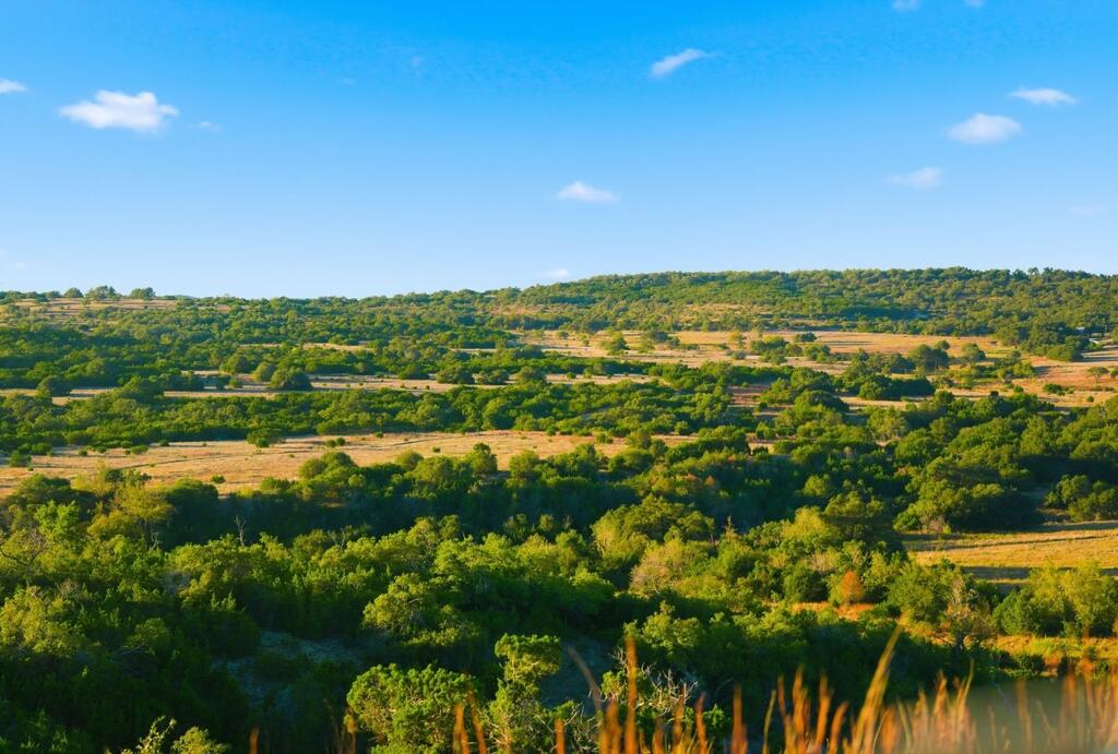 Dripping Springs TX 78620