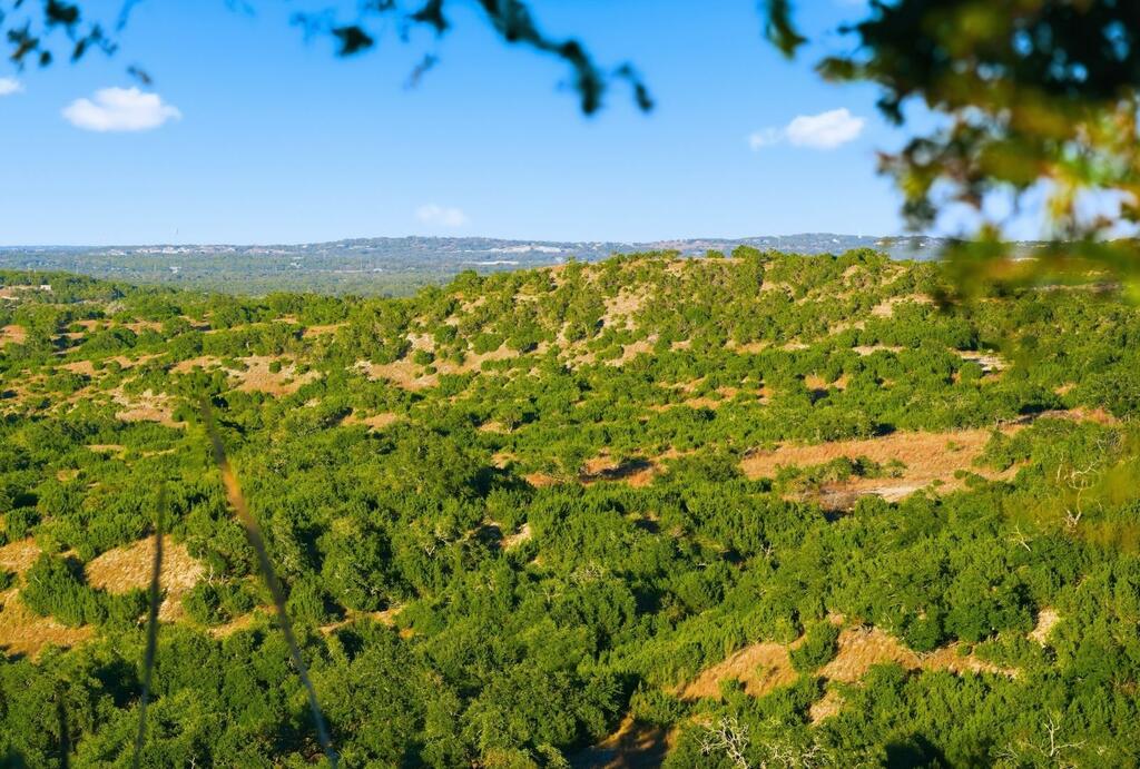 Dripping Springs TX 78620