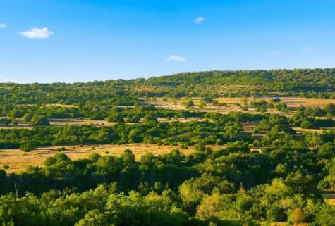 Dripping Springs TX 78620
