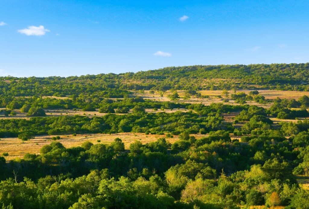 Dripping Springs TX 78620