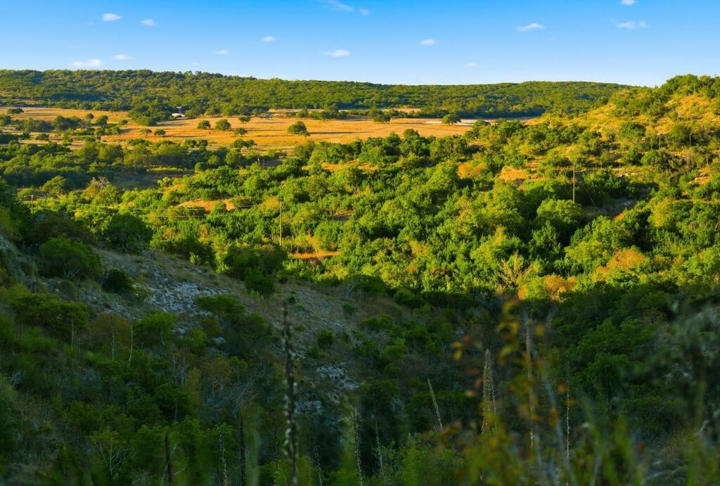 Dripping Springs TX 78620