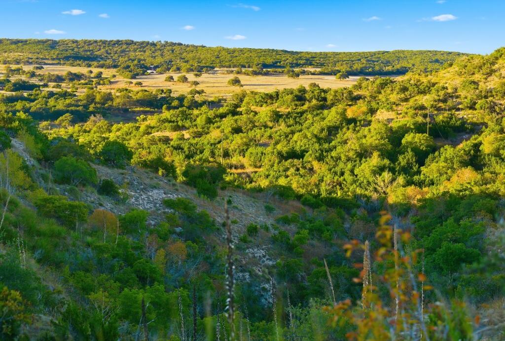 Dripping Springs TX 78620