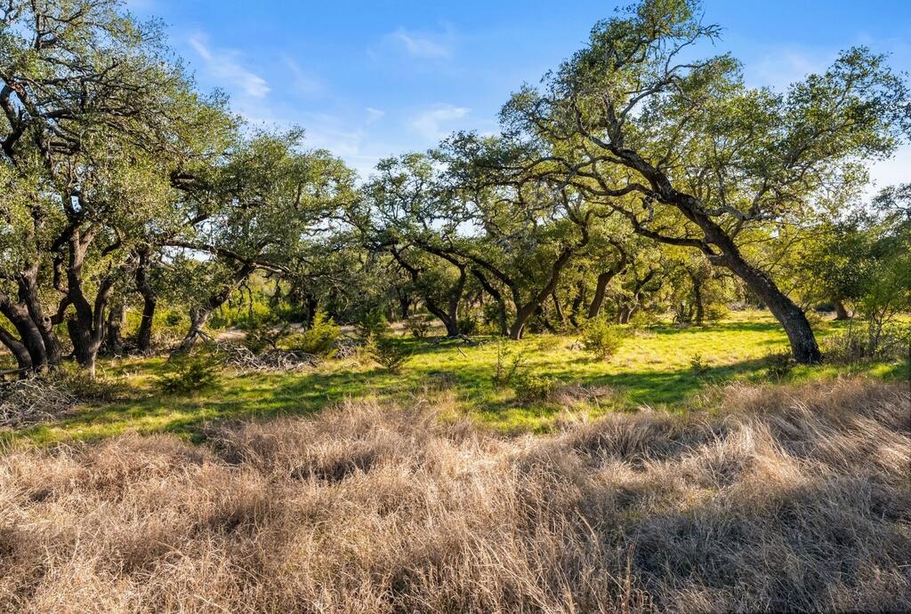 Dripping Springs TX 78620