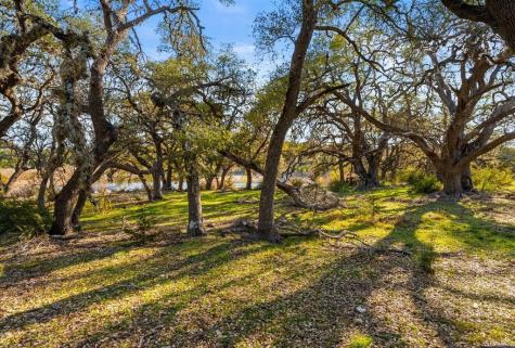 Dripping Springs TX 78620