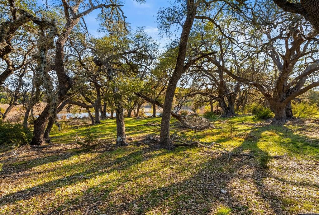 Dripping Springs TX 78620