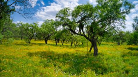 509 Sandy Lane Road Mason TX 76856