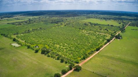 509 Sandy Lane Road Mason TX 76856
