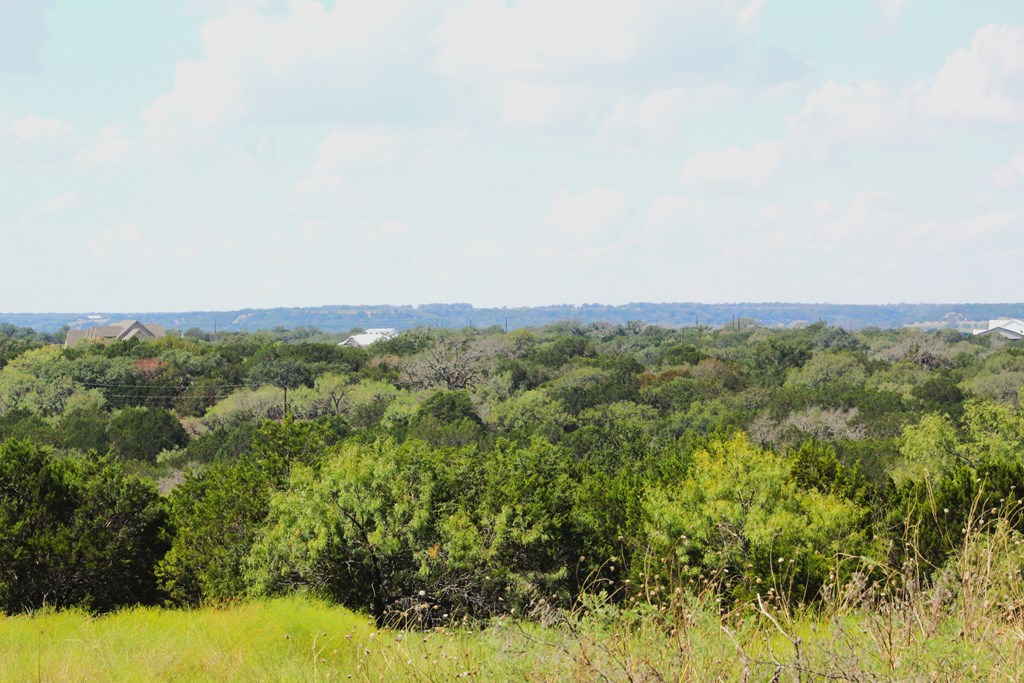 Pr # 42125 P R Lane Evant TX 76525