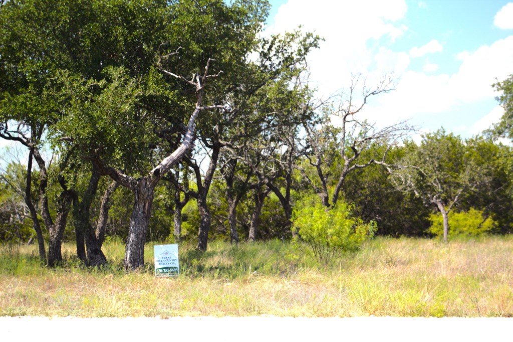 Pr # 42125 P R Lane Evant TX 76525