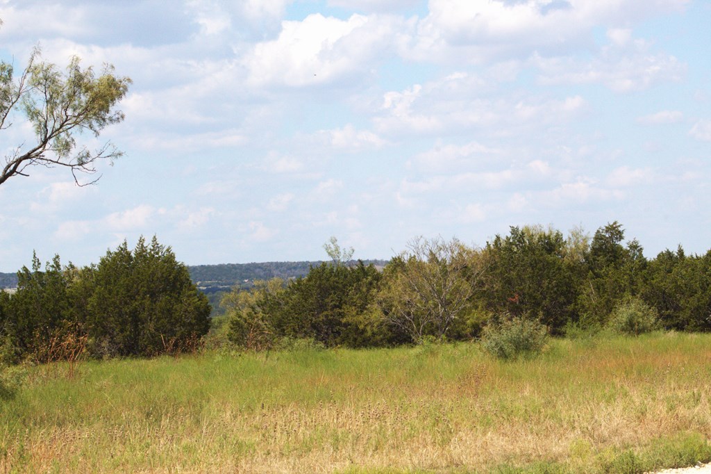 Pr # 42125 P R Lane Evant TX 76525