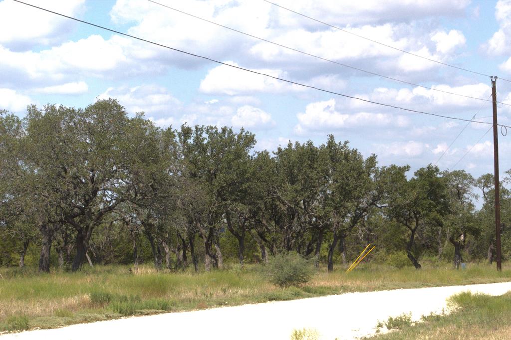 Pr # 42125 P R Lane Evant TX 76525