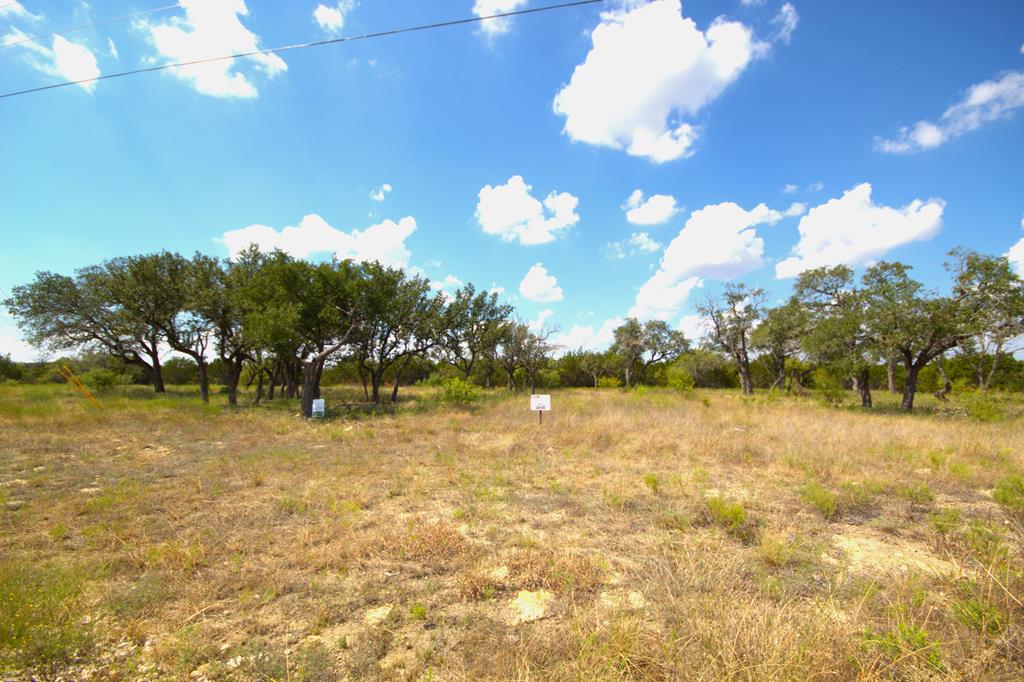 Pr # 42125 P R Lane Evant TX 76525