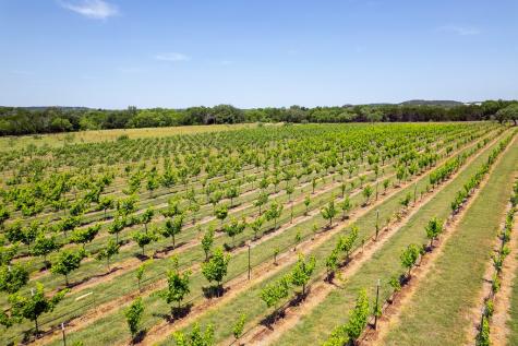 3841 W Us Highway 290 Fredericksburg TX 78624