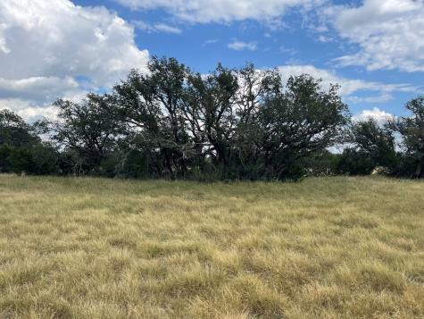 2664 County Road 220 Eldorado TX 76936