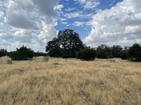 2664 County Road 220 Eldorado TX 76936