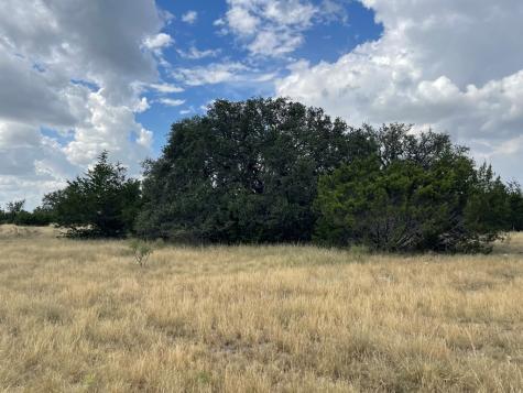 2664 County Road 220 Eldorado TX 76936