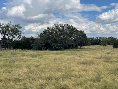 2664 County Road 220 Eldorado TX 76936