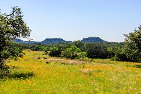 3610 Welgehausen Road Fredericksburg TX 78624