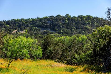3610 Welgehausen Road Fredericksburg TX 78624
