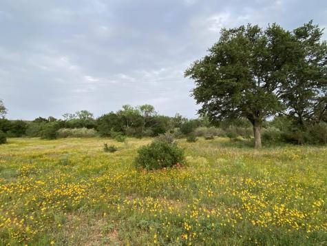 Tract 8 Jack Rabbit Road Doss TX 78631