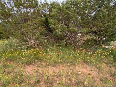 Tract 8 Jack Rabbit Road Doss TX 78631