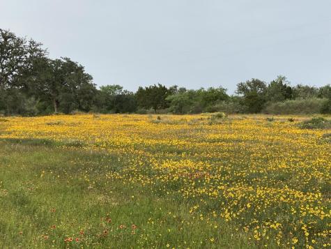 Tract 8 Jack Rabbit Road Doss TX 78631