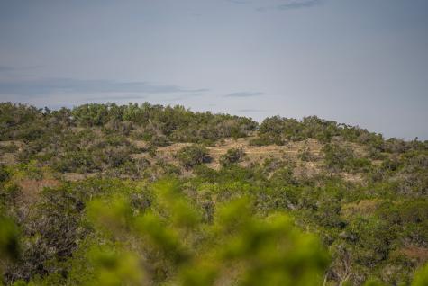 Tbd Bell Springs Road Dripping Springs TX 78620